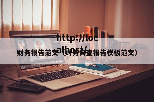 财务报告范文（财务自查报告模板范文）
